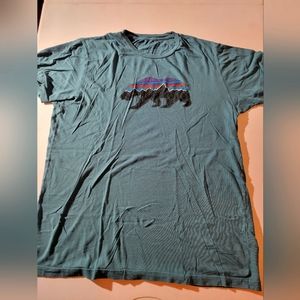 Patagonia organic cotton tee
